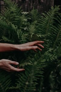 86f844dcb7e88a6ff970f9b715f8acd9