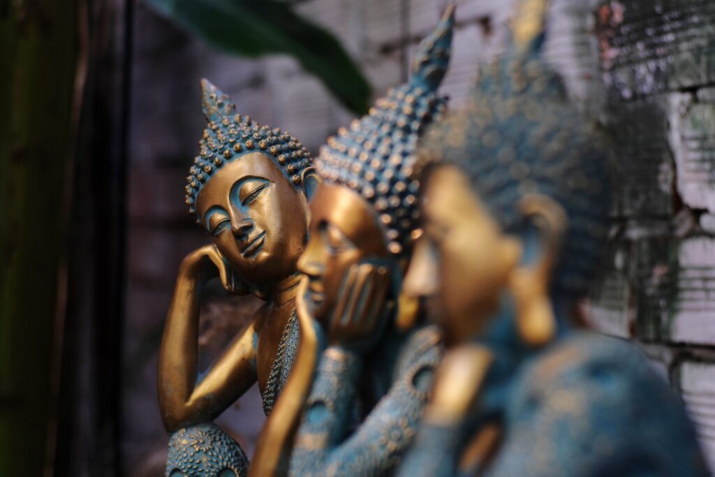 pexels nguyen huy 6314486